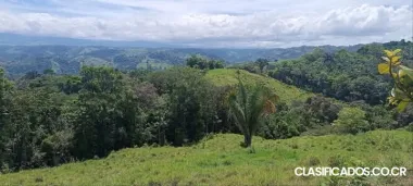 SE VENDE ESPECTACULAR FINCA EN COTO BRUS, PUNTARENAS. 