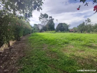 DE OPORTUNIDAD EN SAN CARLOS. 