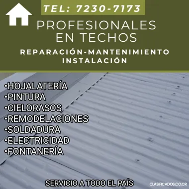 PROFESIONALES EN TECHOS. TODO EN HOJALATERÍA Y PINTURA.