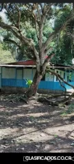 BELLÍSIMA FINCA EN CAHUITA, LIMÓN. 