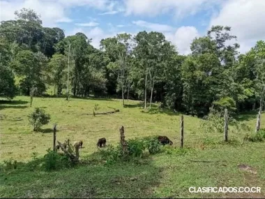 ESPECTACULAR FINCA EN CUTRIS DE SAN CARLOS. 