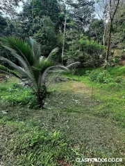 SE VENDE BELLA PROPIEDAD EN PEÑAS BLANCAS, SAN RAMÓN. 