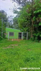 SE VENDE BELLA CASA EN UPALA. 