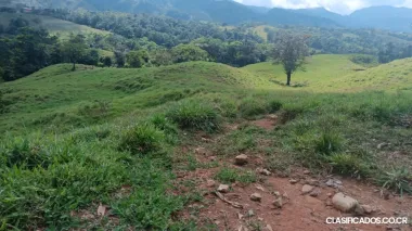 BELLA Y ÚTIL FINCA EN COTO BRUS. 