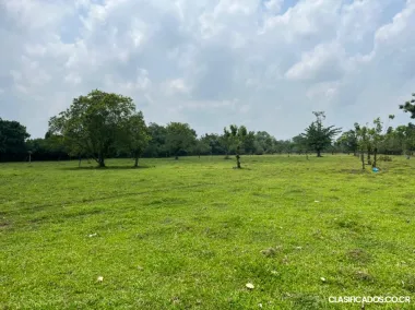 SE VENDE BELLA FINCA EN SAN RAFAEL DE GUÁPILES. 