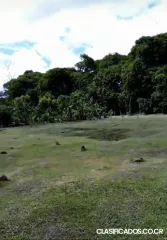 BELLÍSIMA PROPIEDAD TIPO QUINTA EN SARAPIQUÍ. 