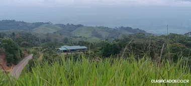 DE OPORTUNIDAD BELLA FINCA EN LIMÓN CITO, COTO BRUS. 