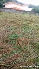 SE VENDE BELLA PROPIEDAD EN VAINILLA DE ATENAS. 