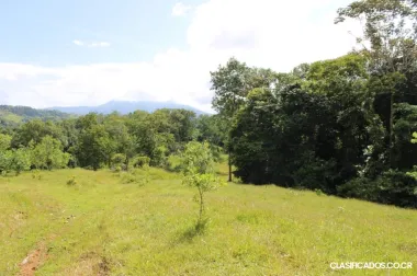 SE VENDE ESPECTACULAR FINCA EN PURISCAL, SAN JOSÉ. 