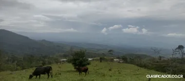 SE VENDE ESPECTACULAR FINCA EN BUENOS AIRES DE PUNTARENAS. 