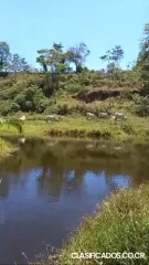 DE OPORTUNIDAD BELLA Y ÚTIL FINCA EN LAS ARMENIAS DE UPALA.