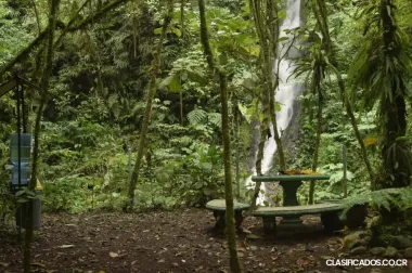 SE VENDE BELLA FINCA DE ALTA PLUSVALÍA. 