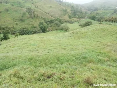 SE VENDE BELLA FINCA EN ZARCERO DE ALAJUELA. 