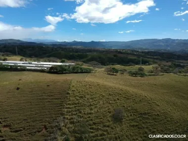 SE VENDE BELLEZA DE FINCA EN ALAJUELA. 