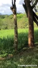 SE VENDE BELLA PROPIEDAD EN EL AMPARO DE LOS CHILES DE ALAJ